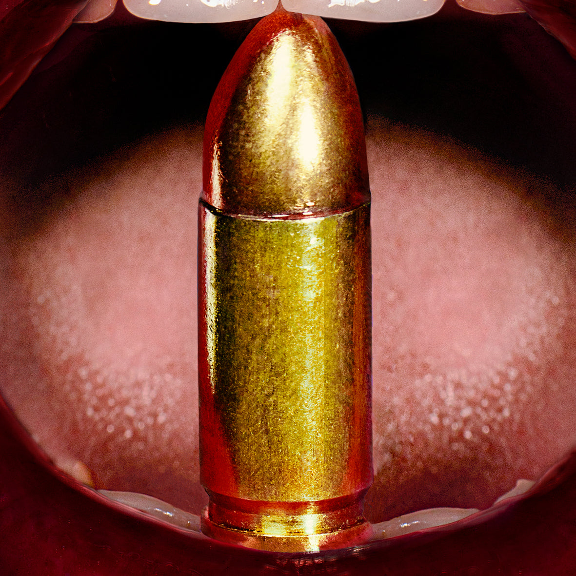 KISS MY BULLET